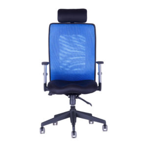 Kancelářská židle s podhlavníkem, 14A11, modrá - CALYPSO GRAND SP1